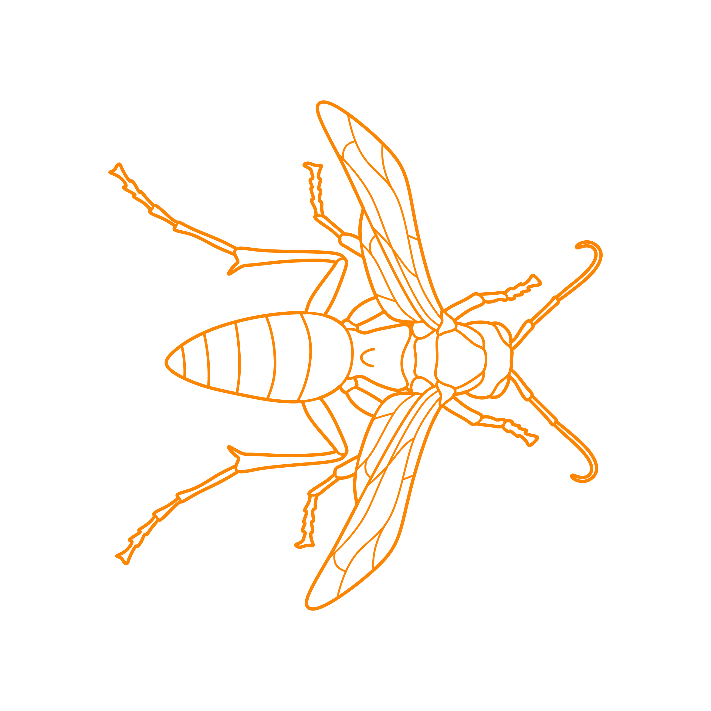 Animals Insects Red Paper Wasp Sketch Style Svg Vector Free Vectors